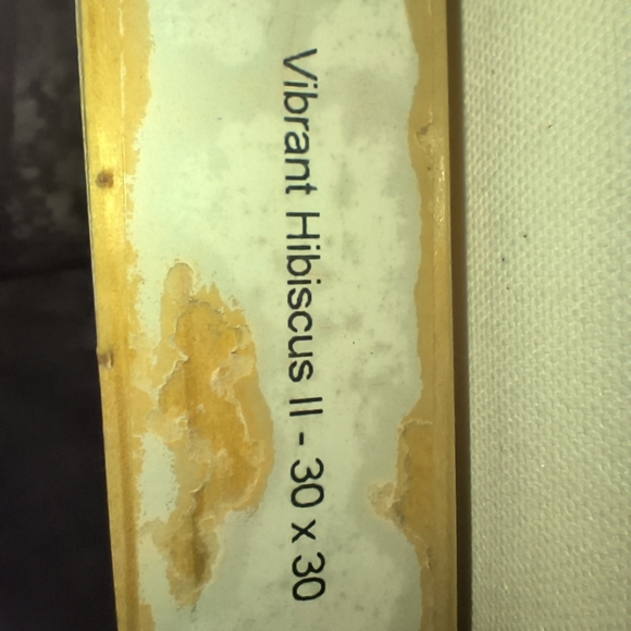 Vibrant Hibiscus ll 30 x 30 Signed Ghislaine Wall Art - Picture 14 of 16